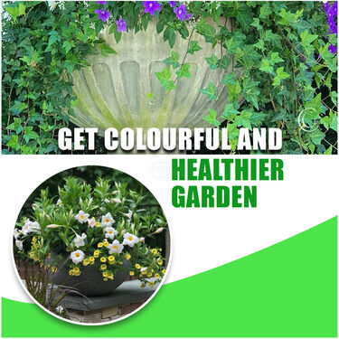 Plant Growth Booster Sticks Pack Of 25 (PFS)