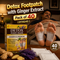 Detox Footpatch With Ginger Extract Pack of 40 (DTXG40)