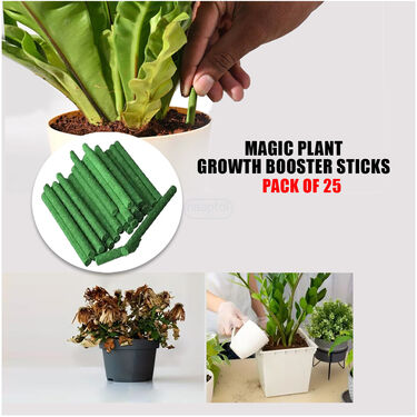 Plant Growth Booster Sticks Pack Of 25 (PFS)